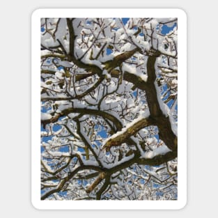 Wintry Sticker